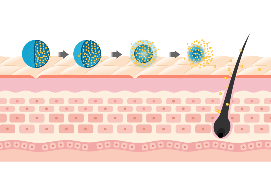 圖片03.jpg (224 KB)