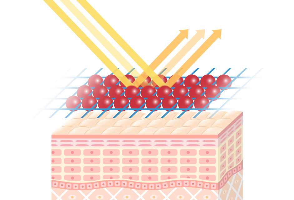 圖片05.jpg (268 KB)