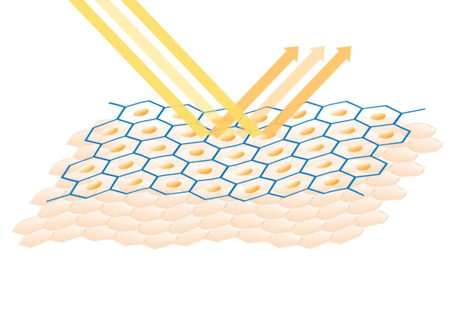 圖片06.jpg (234 KB)