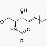 160x160_1_神經醯胺.jpg (6 KB)