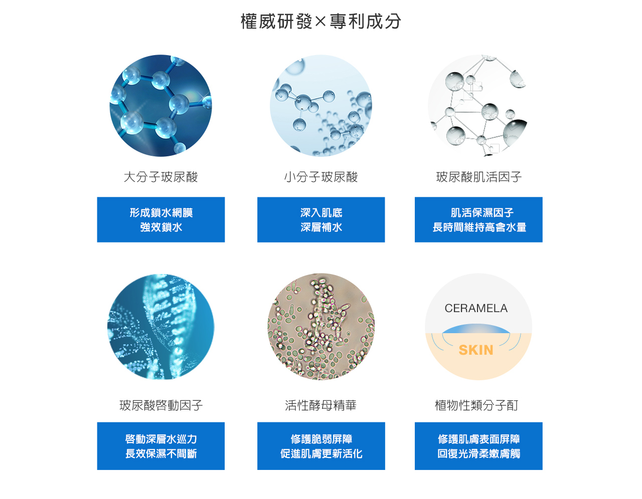 HHS015A_06.jpg (358 KB)