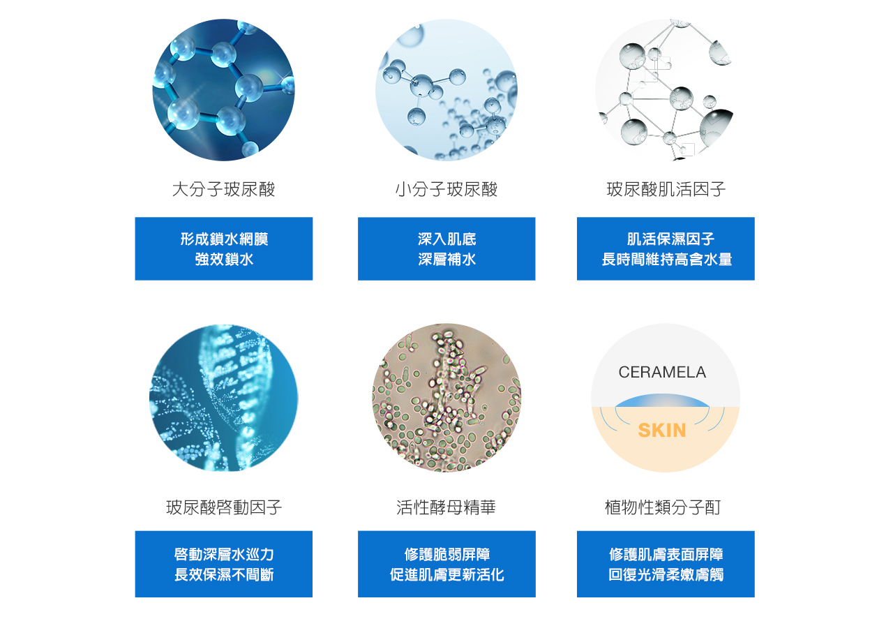 HHS030A_06.jpg (345 KB)