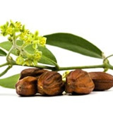 160x160_4.jpg (30 KB)