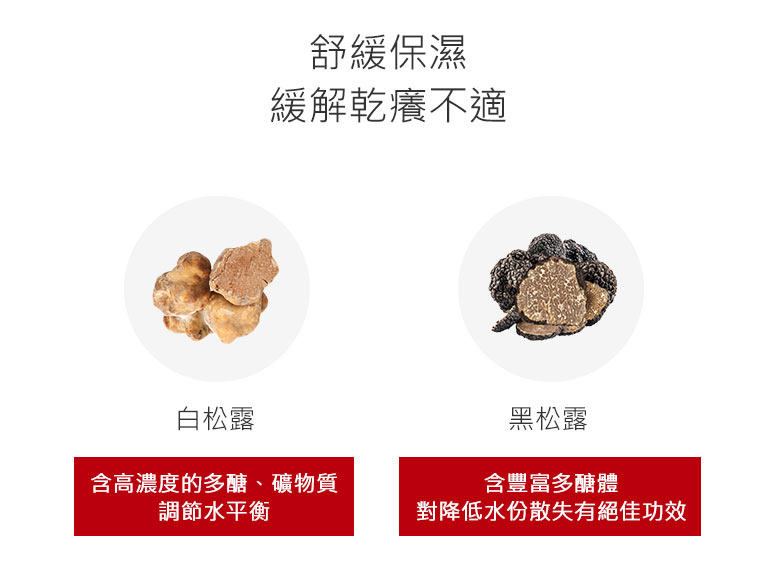 SHM001A_05.jpg (43 KB)