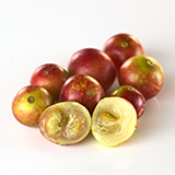 160x160_3.jpg (21 KB)