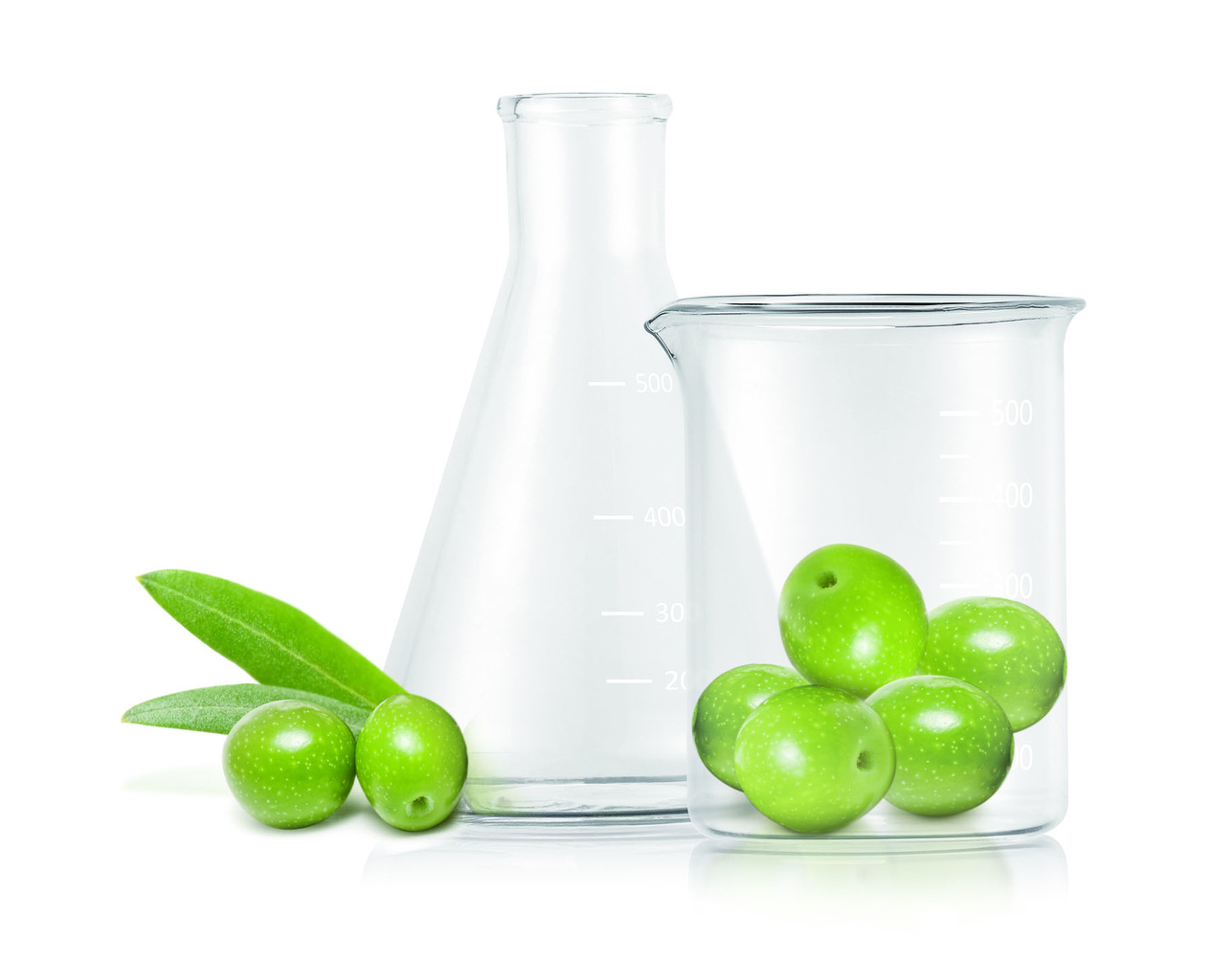 file_name_6740.jpg (159 KB)