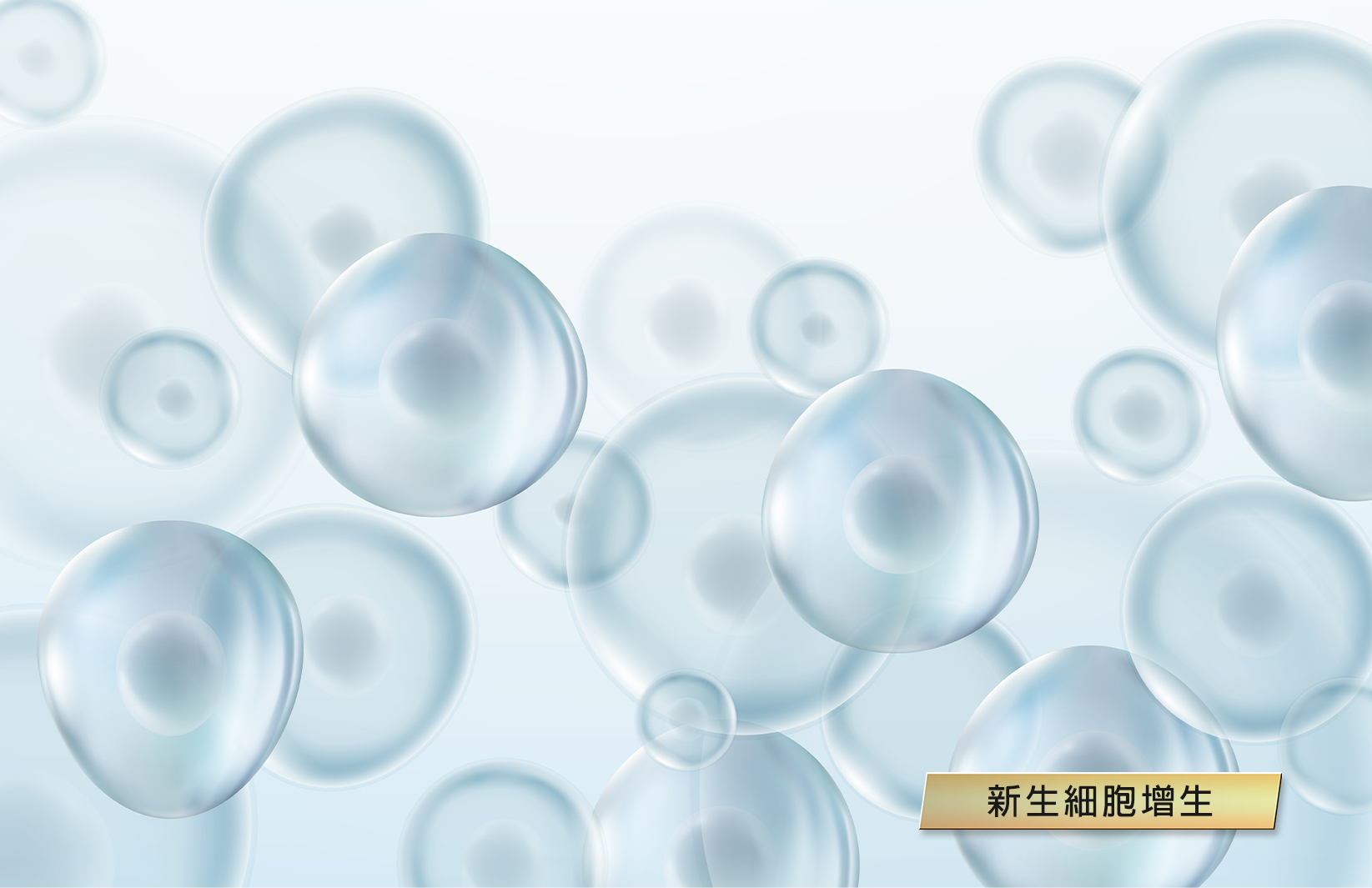 file_name_8763.jpg (413 KB)