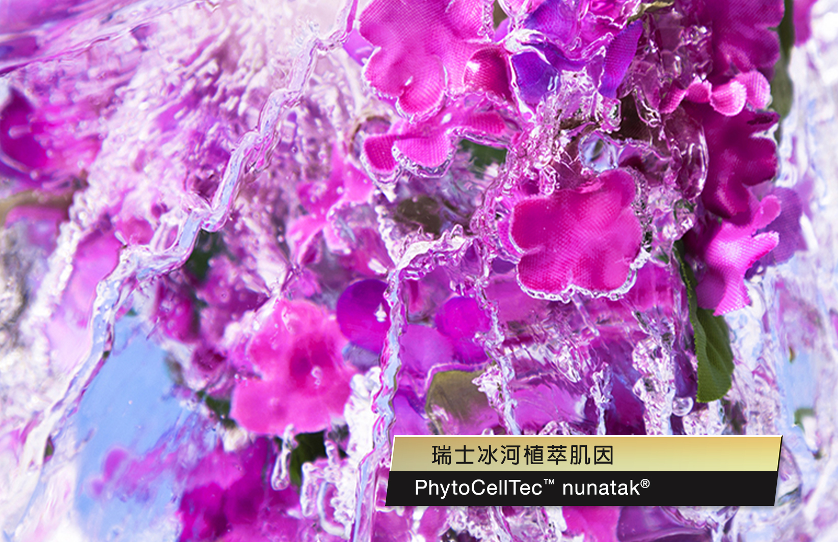 file_name_8764.jpg (1.17 MB)