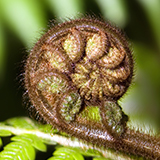 160x160_4_彈力緊緻因子.jpg (34 KB)