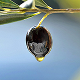 160x160_2.jpg (21 KB)