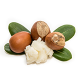 160x160_3.jpg (16 KB)