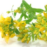 160x160_1.jpg (27 KB)