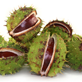 160x160_2.jpg (31 KB)