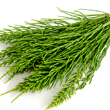 160x160_4.jpg (36 KB)