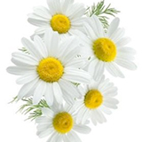 160x160_5.jpg (18 KB)