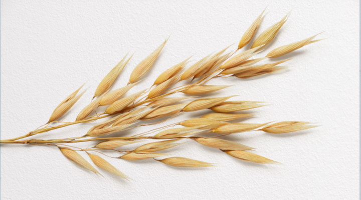 BMK_700_2.jpg (236 KB)